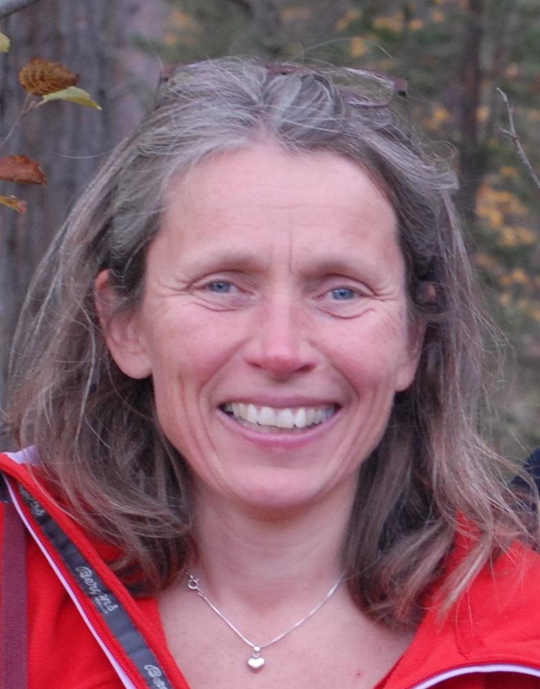 Bilde av Utsi, Tove Aagnes