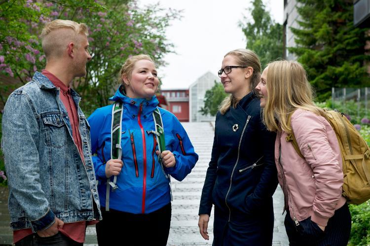 Medie- og dokumentasjonsvitenskap, bachelor, uit.no Medie- og dokumentasjonsvitenskap, bachelor, uit.no