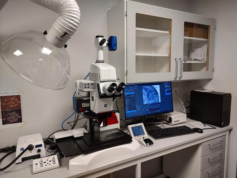 Microscope