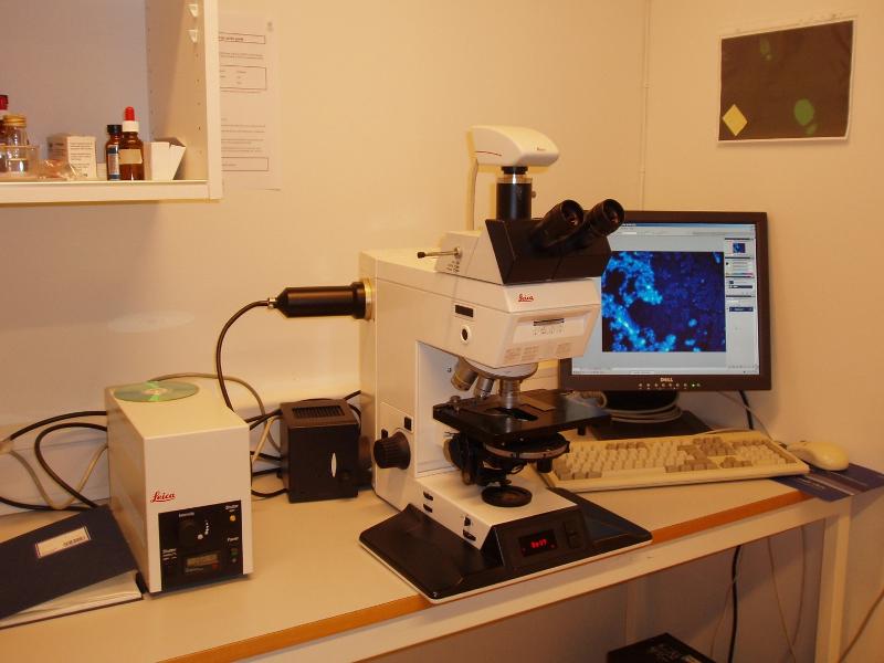 microscope