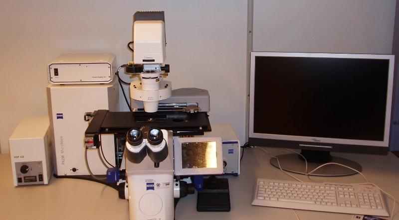microscope
