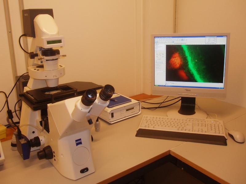 microscope