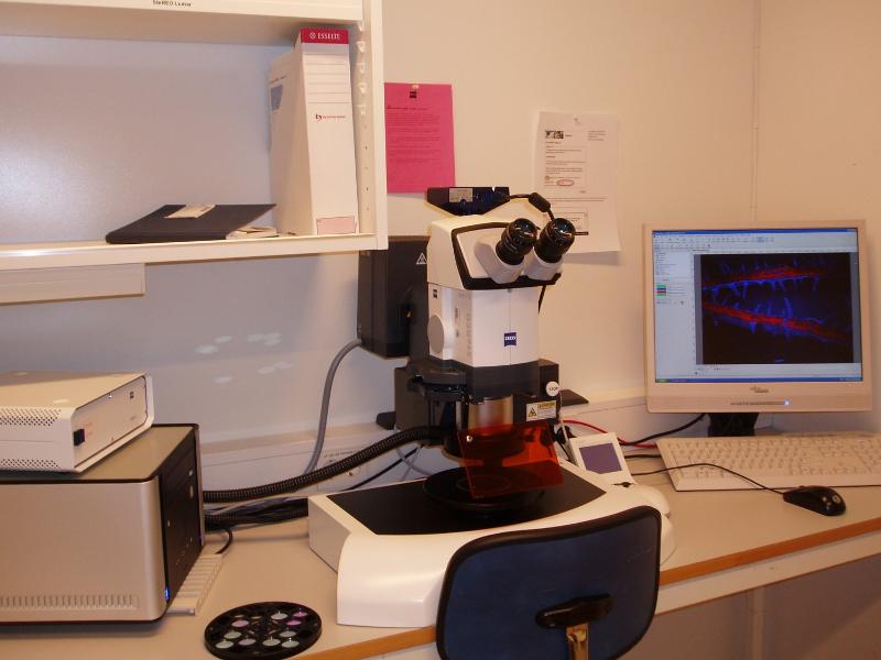 Microscope