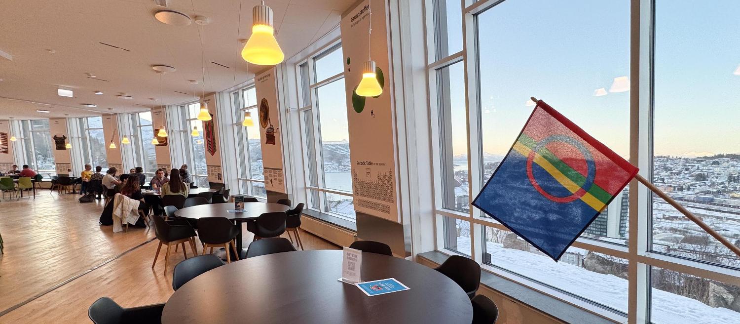 Illustrasjons-/bannerbilde for Celebration of the S&aacute;mi National Day - Lunch Concert with Ensemble Oscar