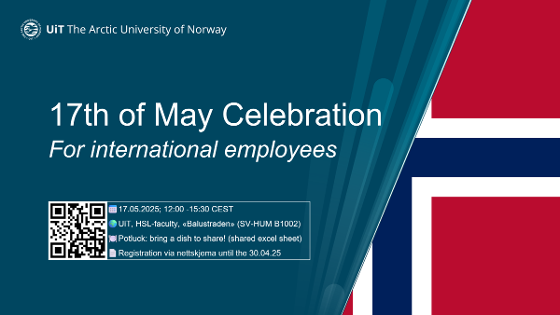 Illustrasjonsbilde for 17th of May celebration for international employees