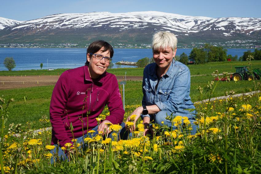 Gillund og Brustad