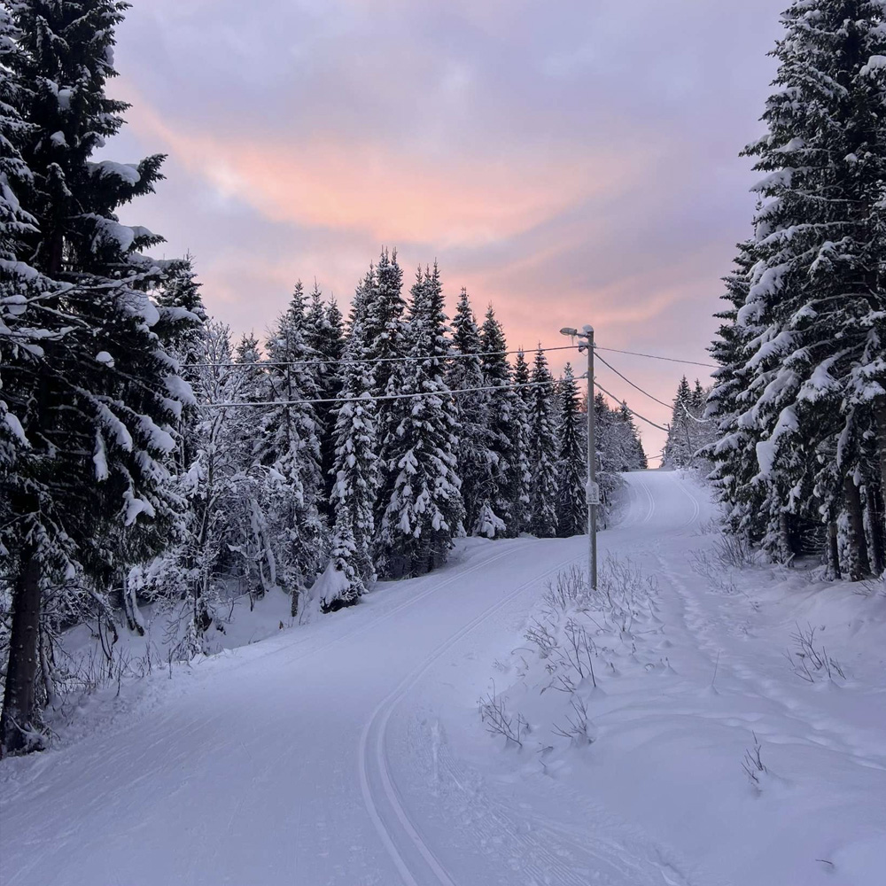 Bilde fra Instagram