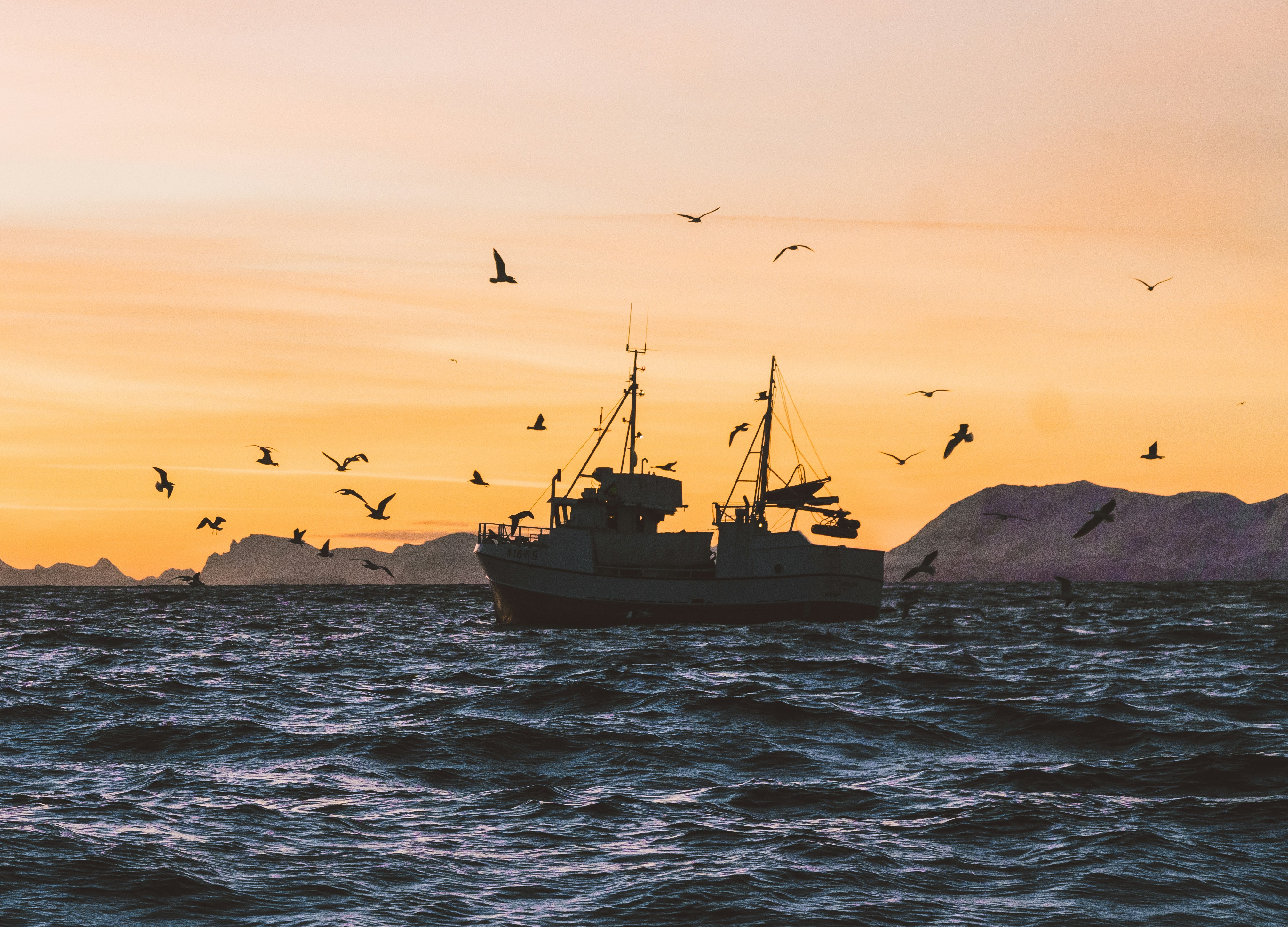 fiskeb&aring;t i solnedgang
