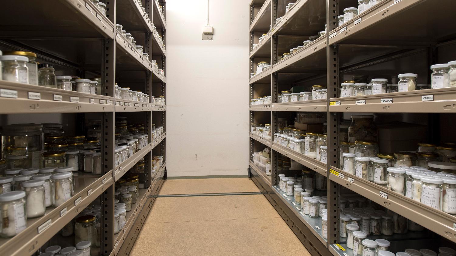 Illustrasjons-/bannerbilde for BioBanking at UiT (seminar - sign up by Feb 9)