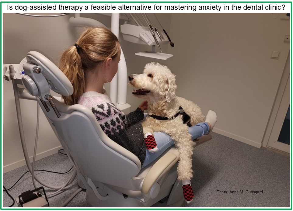 Therapydog in the dental clinic.jpg
