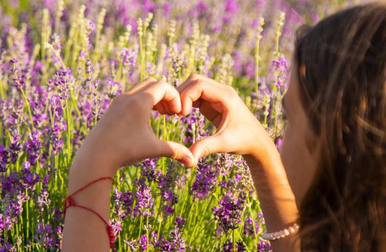 Illustrasjonsbilde Nasjonalt forløp for barnevern