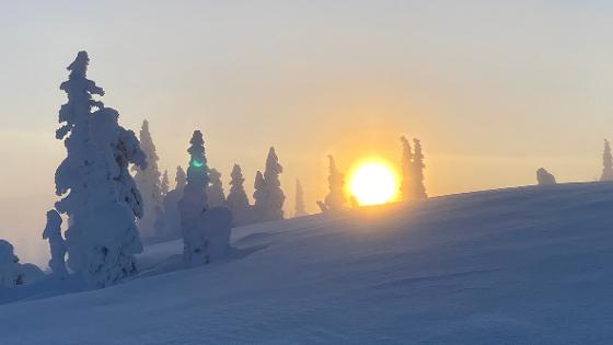 Illustrasjonsbilde for Environmental Humanities gathering #72: Panel conversation exploring the intersection of social work, climate education, and climate journalism (skills circle and discussion)