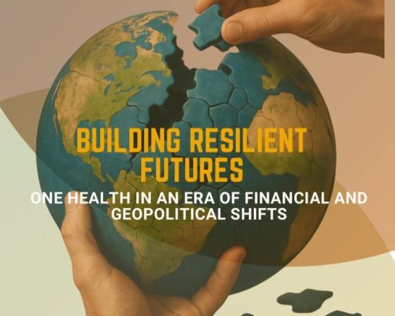 Illustrasjonsbilde for  Global Health Symposium 2026: Hvordan bygge en robust fremtid – One Health i en tid med store økonomiske og geopolitiske svingninger / Global Health Symposium 2026. Building resilient future: One Health in an era of financial and geopolitical shifts