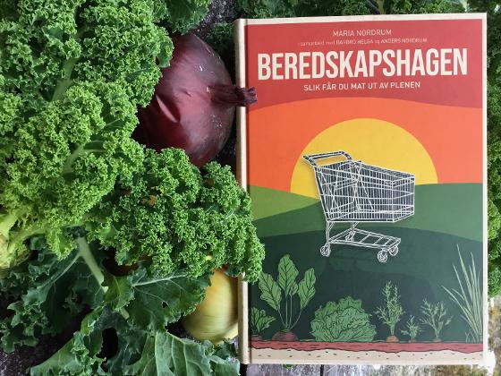 Illustrasjonsbilde for KURS | Beredskapshagen: slik får du mat ut av plenen