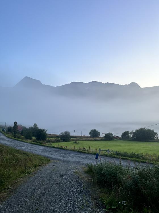 Moskivuono_Ullsfjord_Autumn_2025_TS.jpg