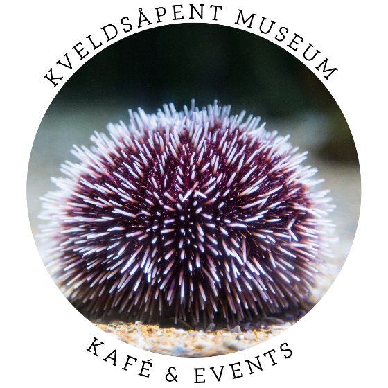 Illustrasjonsbilde for Akvarellmaling med kråkeboller // Aquarelle painting with sea urchins 