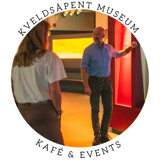 Illustrasjonsbilde for Free guided tour at night: highlights at the Arctic University Museum