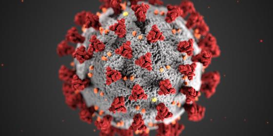 Illustrasjonsbilde for Zoonosis as a Problem for Science, Governance and Empire